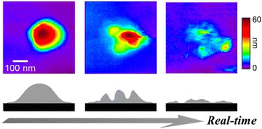 鈴木先生(信州大)との共同研究の成果がSoft Matterに掲載されました。西澤さんが筆頭著者です。おめでとうございます！