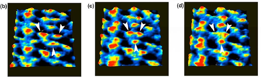 総説論文がMicroscopyに出版されました。