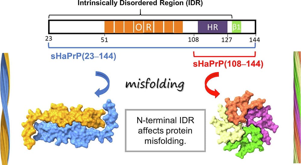 Chen教授(アカデミアシニカ)との共同研究成果がJournal of Molecular Biologyに掲載されました。