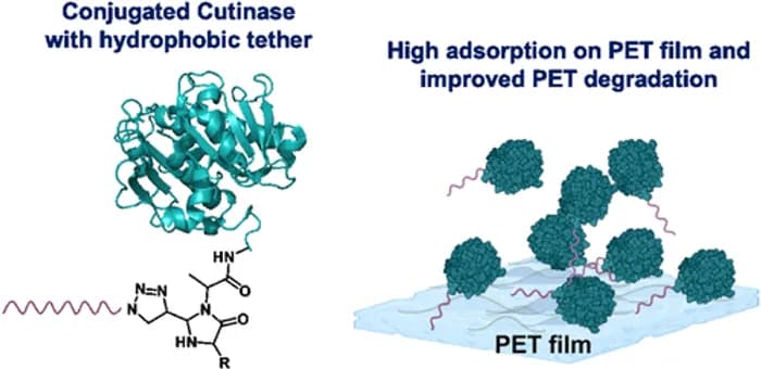 小野田先生(北海道大学)との共同研究論文がACS Sustainable Chemistry & Engineeringに掲載されました。