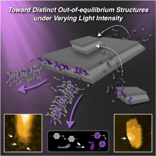 矢貝先生(千葉大学)との共同研究論文がChemに掲載されました。当研究室の玉木助教が筆頭著者です。おめでとうございます！