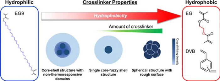 鈴木先生、西澤先生(岡山大学)との共同研究論文がACS Applied Materials & Interfacesに出版されました。