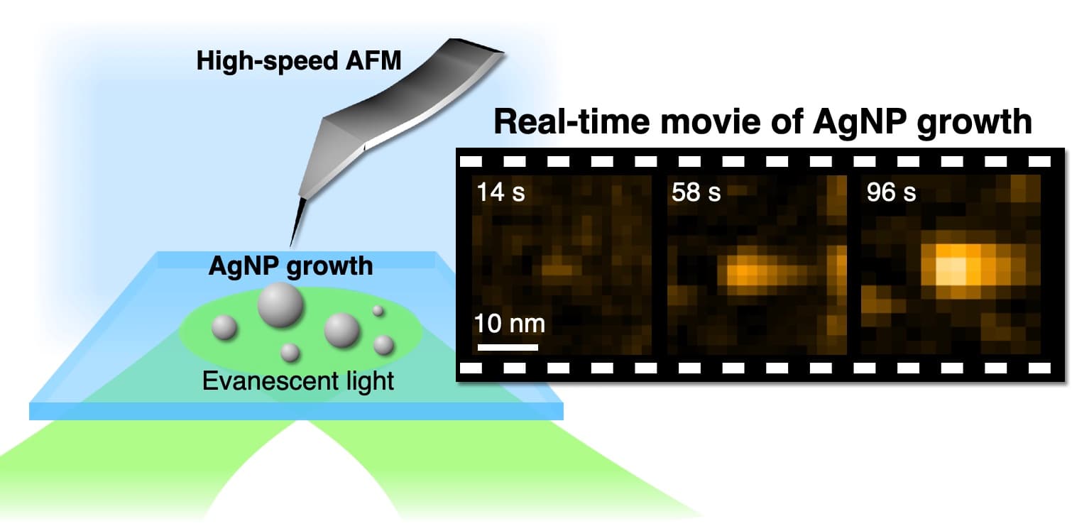 馬越先生(阪大)との共同研究論文がNanoscaleに出版されました。筆頭著者の若林くん、おめでとう！🎉